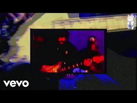 Dilute_Calico98 video