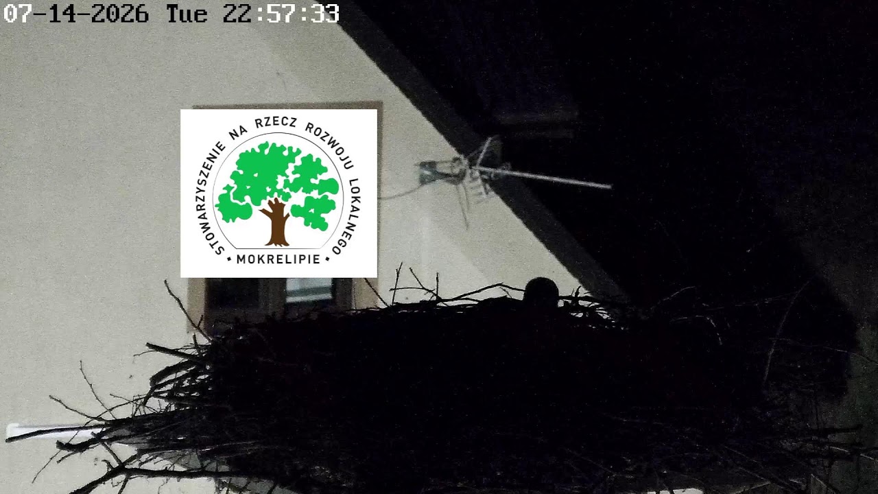Live webcam view of Nido de Cigüeñas en Mokrelipie