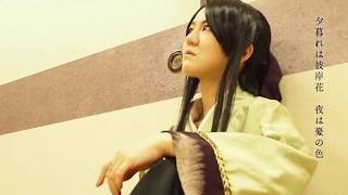 【四妖演舞】ヨヒラで【PVってみた】