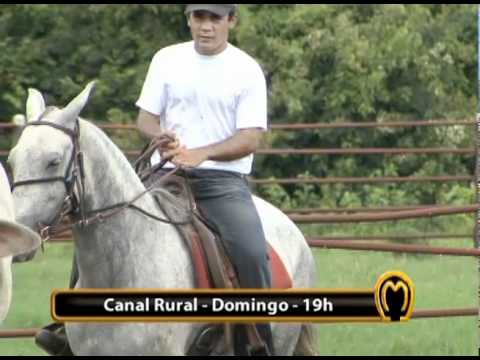 VEJA NO MANGALARGA MARCHADOR TV DESSA SEMANA