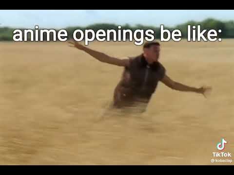 Anime openings be like: