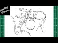 How To Draw An Acorn Step By Step