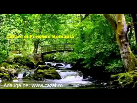 Cazare Galesesti, Arges - Cazat.ro