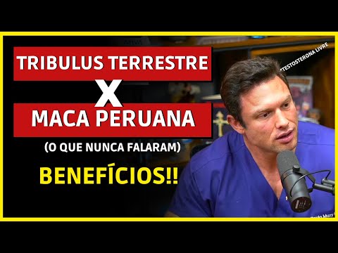 HOW TO TAKE TRIBULOS TERRESTRE AND PERUVIAN MACA? EFFECTS? BENEFITS? UNDERSTAND - Paulo Muzy