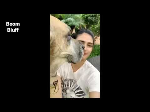 OmG! Athiya Shetty Playing With Her Pets Dog Is The Cuestest Thing Will See On Internet | Boom Bluff