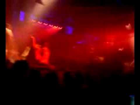 pacha ibiza power flower