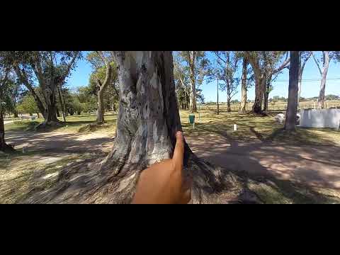 Camping en ciudad de Bolívar. 11 puntos