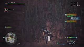 導きの地に引きこもります（’ω’＊）