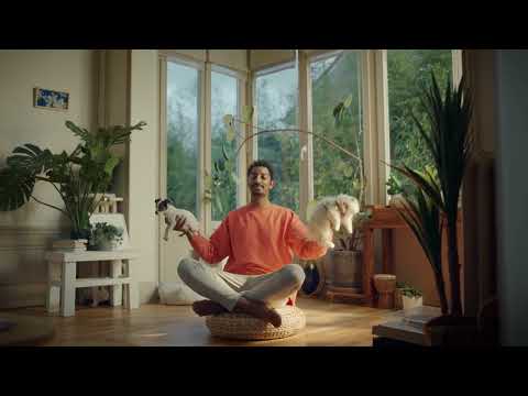 Laforêt immobilier Miniature vidéo YouTube 24