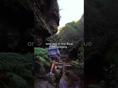 BLUE MOUNTAINS mini guide #australia