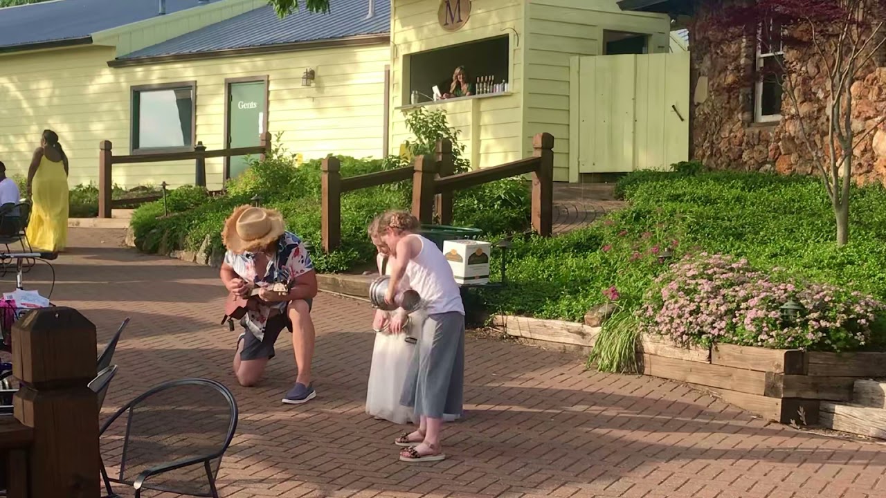 Promotional video thumbnail 46 for Lenny Frisch (GOOD VIBES BAND)