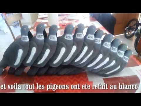 comment poser forme pigeon