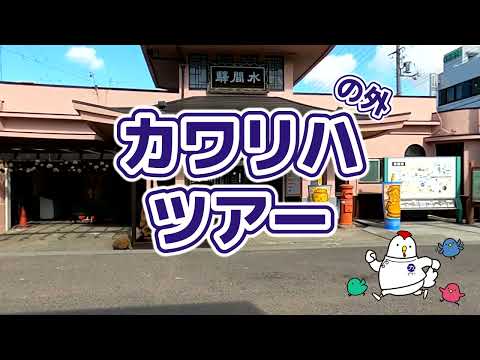 リハビリテーション学科 【カワリハツアー】最寄り駅から大学までの道のり「水間観音駅」