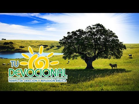 Tu Devocional No  441 - Romanos 1:1-5