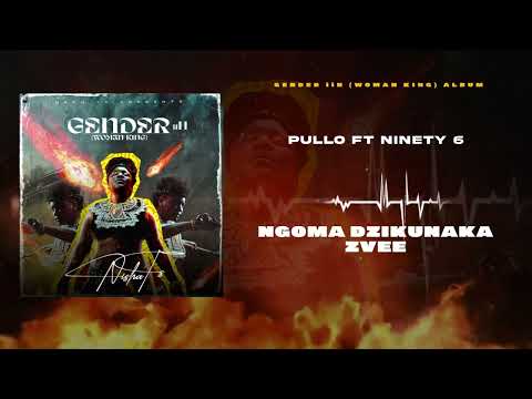 Nisha Ts - Pullo ft. Ninety6 (Official Visualiser)