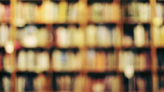 NEWS AND VIEWS FROM THE NEFARIUM MARCH 23 2017