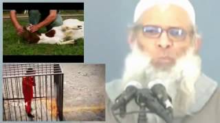Refuting ISIS ISIL Burning Humans Alive   Dr  Raslan
