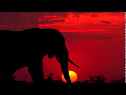 PM Project - Shining (Deep Calls Rec.Afro Sunset Remix) ... .