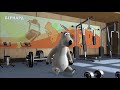 2 12 Бернард Спортзал 2 Bernard Bear The Gym 2 HD