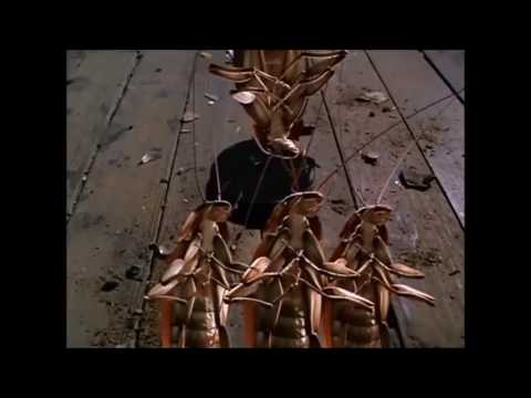 Joe's Apartment - Garbage Song