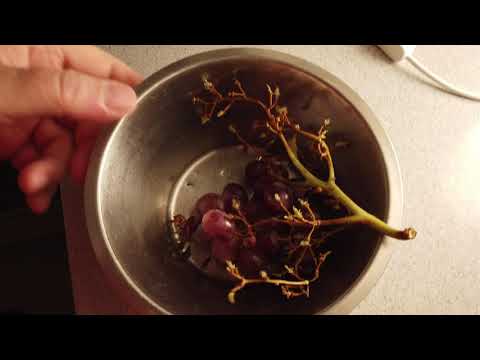 MongoTV_7023 - HVAD JEG SER PÅ NETFLIX - Del 88 - Happy