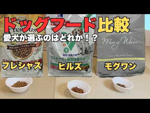 鶏が好む冬の食べ物は何ですか