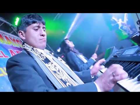 Gato Del Arpa - Amorcito Nuevo (Huayno Perú)