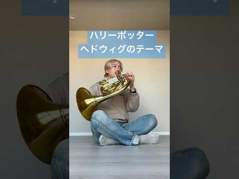 プロ奏者が高音質ホルンを録音します イメージ1
