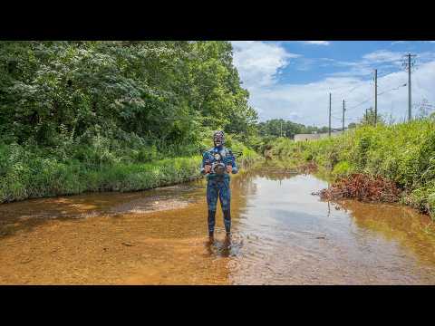 Snorkeling in City Creeks For Beautiful Fish