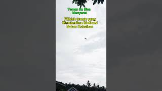 Download lagu Temen itu bisa menyeret #teman #temansholeh #temanbaik #berteman mp3