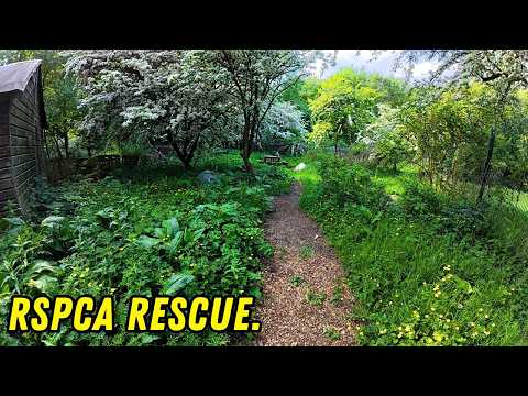 Rescuing RSPCA Preston! Dangerous Trees & Lost Memorial Garden