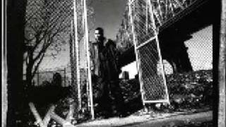 Nas - Talk Of New York (DJ Premier's Hard 2 Earn Mix)