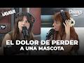 Natalia Says Goodbye To Güero Her Pet VA VA VA With Ximena Sariñana Natalia Téllez And Marina