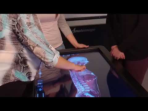 Anatomage Virtual Anatomy Table