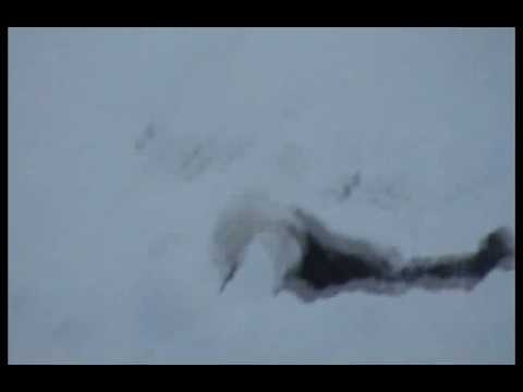 Neve a Montottone Finale