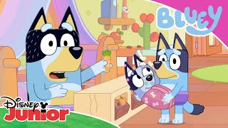 Bluey 💙 | Purple Underpants?  💜 | Disney Junior Arabia