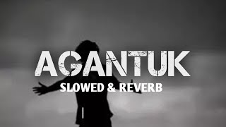 Download lagu AGANTUK | [ SLOWED & REVERB ] | LOFI SONG | SAD SONG | TRENDING SONG #lofisong #noncopyrightedmusic  mp3