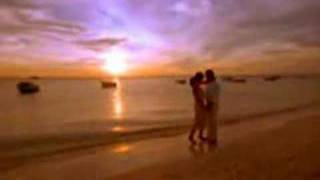 Michael Bolton How Am I Supposed To Live Without You Video