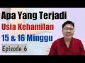 USIA KEHAMILAN 15 DAN 16 MINGGU Eps 6 TANYAKAN DOKTER
