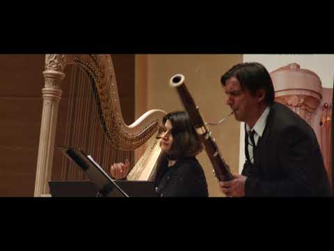 Debussy "Beau Soir" for bassoon and harp R.Reznik D.Constantin