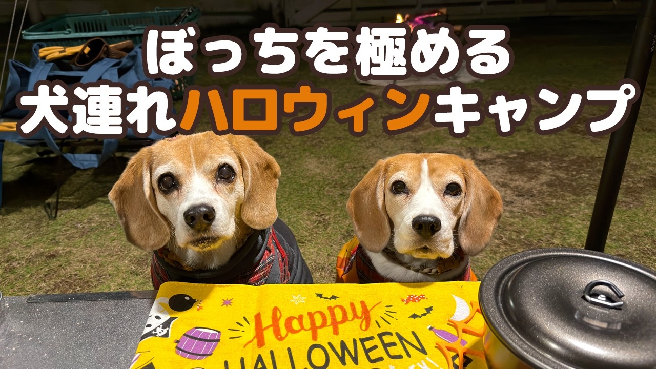 【犬連れソロキャンプ】ブームが落ち着いてきたので再始動～ぼっちを極めるハロウィンキャンプ
