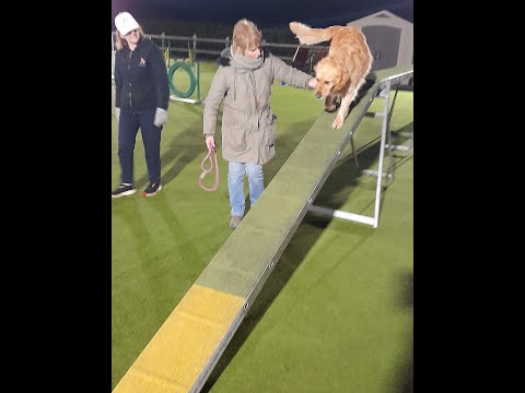 Keith's Canines video.