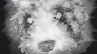 DERUSZ — contemplation. [Audio]