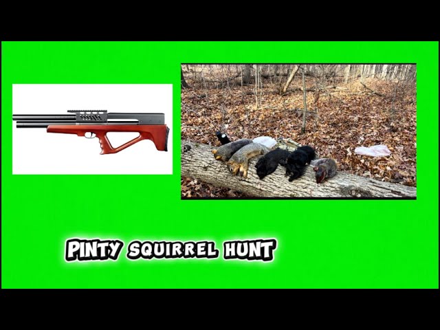 Judge.me YouTube video placeholder