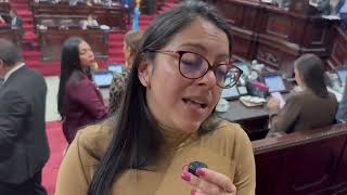 Diputada Palala dice que préstamos aprobados si tienen un destino