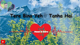 Download lagu Tere Bina Yeh Dil Tanha hain Heart Touching Song ( New Hindi Song 2025 ) mp3