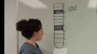 How to Read the UNC Probe