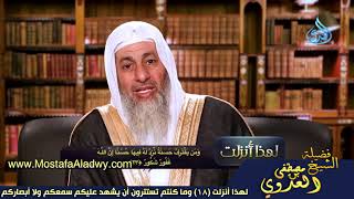 لهذا أنزلت 18 وما كنتم تستترون أن يشهد عليكم سمعكم ولا أبصاركم