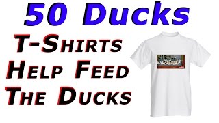 More & More Ducks Going To The Swamp On Their Own #71 Hatching Ducklings Ducks