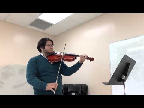 Raúl Fernando Domínguez Cortez - VIOLA - YOA Audición 2016.